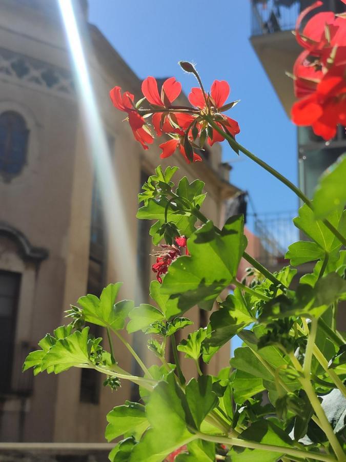 Casta Diva Holiday Rooms Catania Ngoại thất bức ảnh